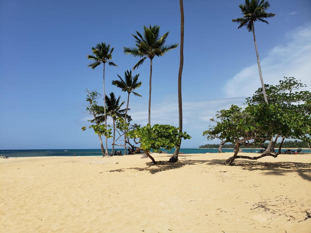 La Fenice, Playa Popy Las Terrenas Exterior foto